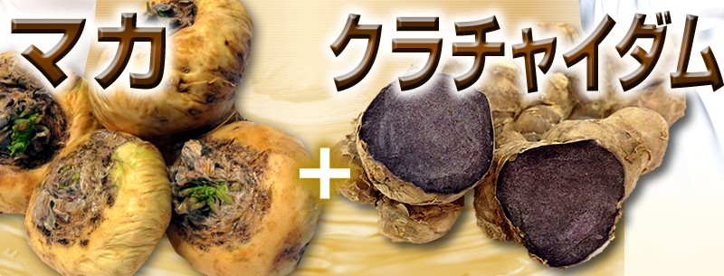 hoge1���T�C�g